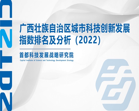 黄91jj【成果发布】广西壮族自治区城市科技创新发展指数排名及分析（2022）